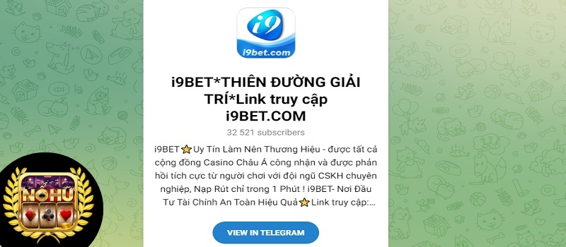 Dịch vụ hỗ trợ chuyên nghiệp của i9Bet